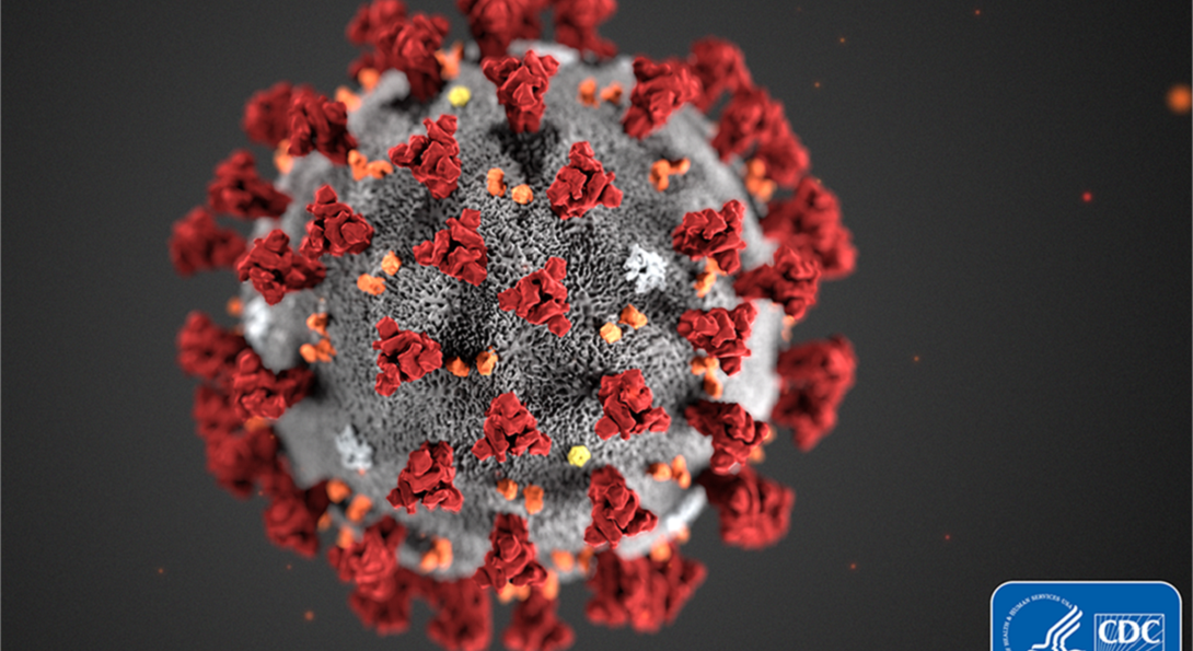 Image of Coronavirus