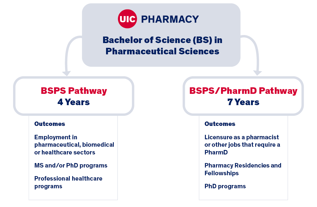 Flowchart of degree tracks: 4-year and 7-year pathways