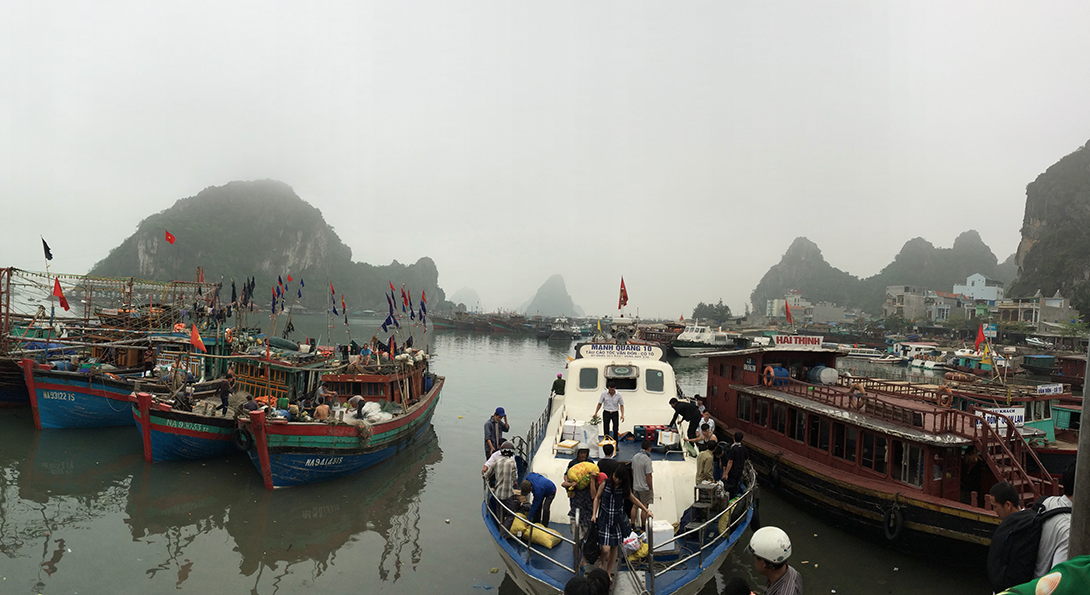 boats docked on the water in Vietnam