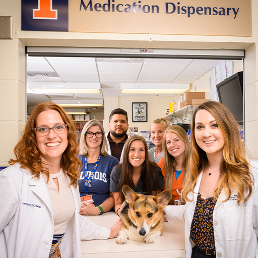 Students, staff and residents in the Veterinary Teaching Hospital Medication Dispensary