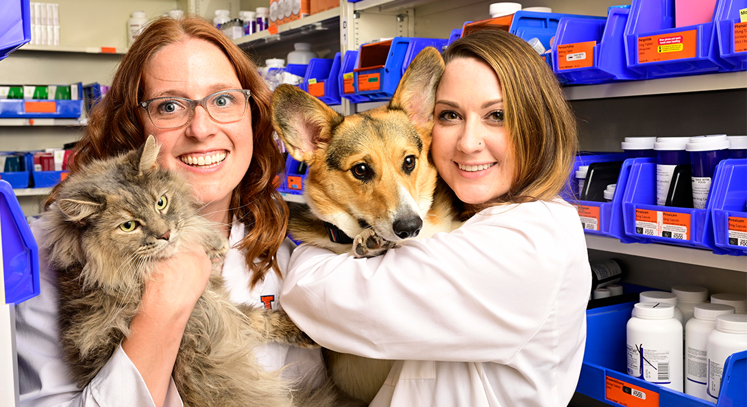 Dr. Lauren Forsythe holds Duchess the cat, and Dr. Alex Gochenauer holds Loki the corgi in the Illinois Veterinary Hospital Medication Dispensary